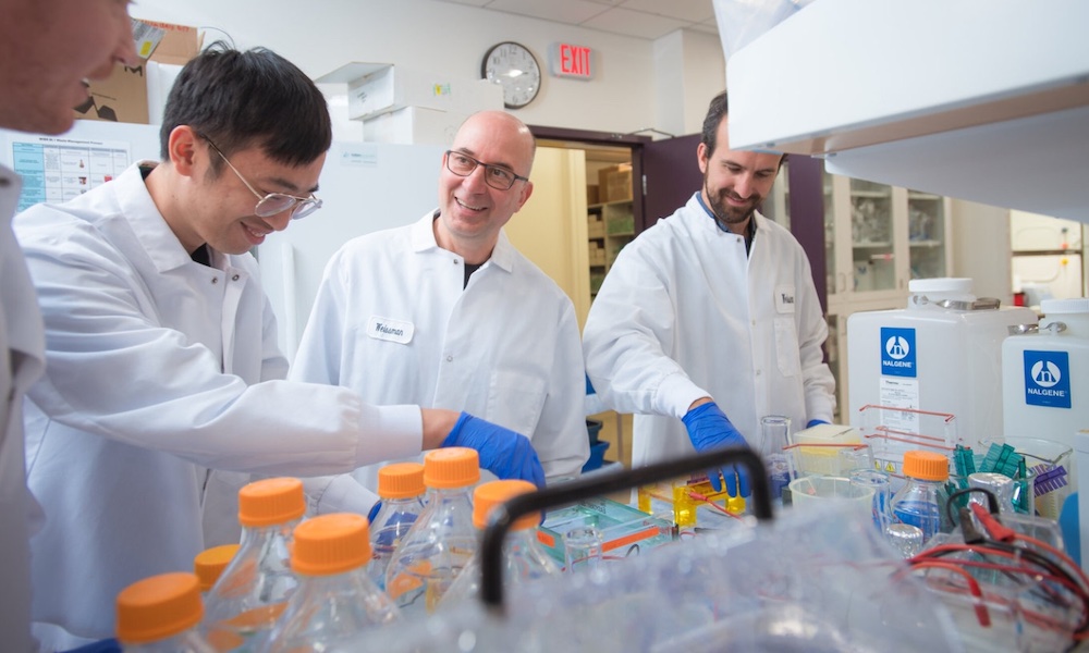 Cómo elegir los mejores socios para un consorcio de investigación